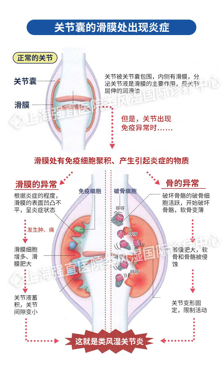 上海2.jpg
